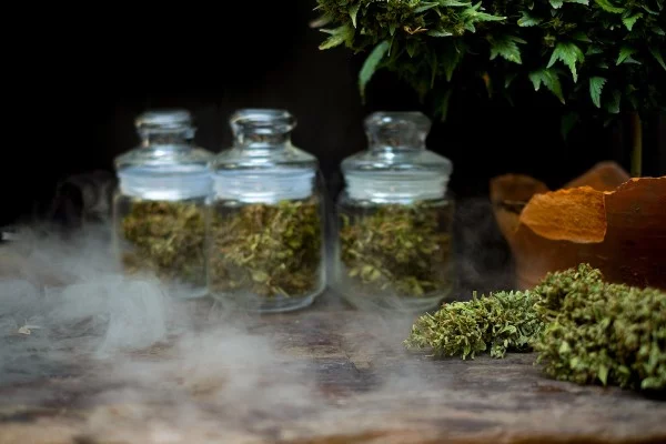 cannabis flowers in jars