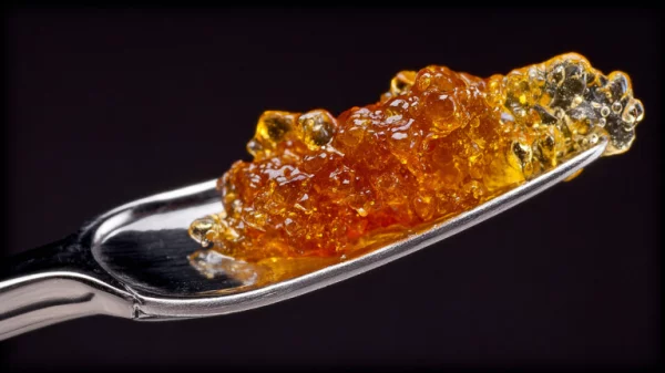 lynn cannabis concentrates