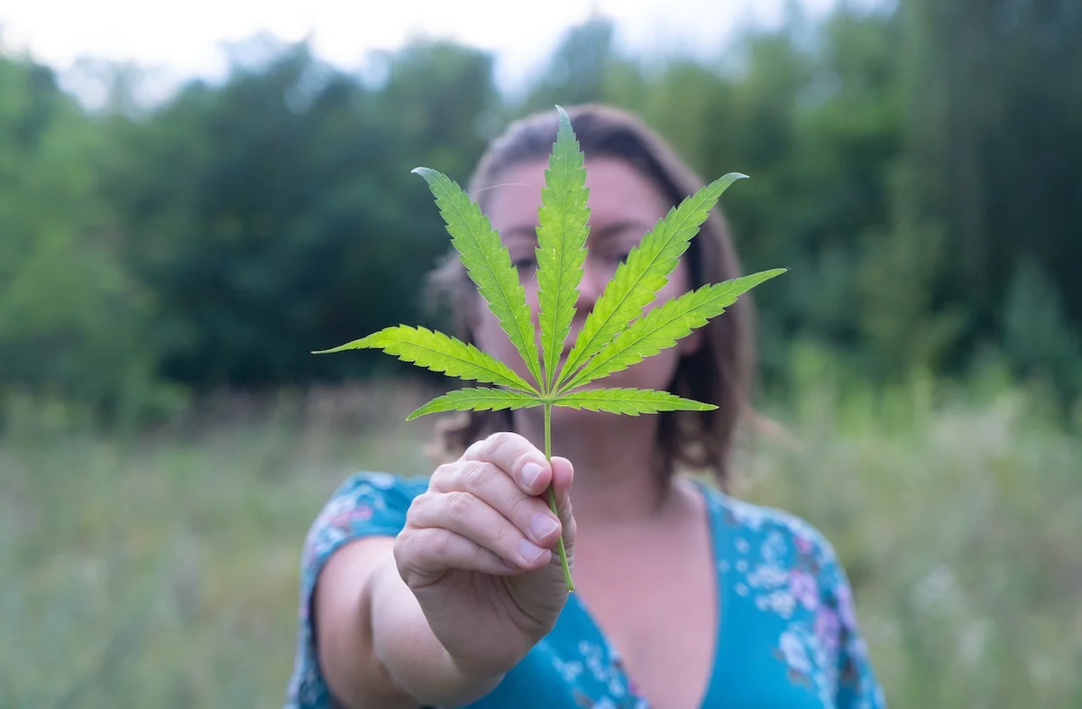 buy cannabis near me lynn ma