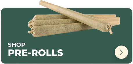 cannabis pre-rolls