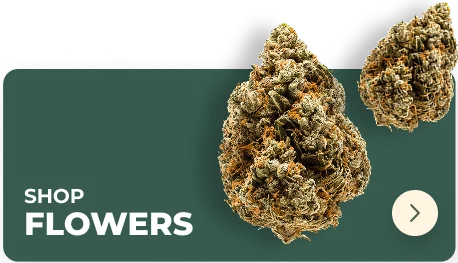 cannabis flowers
