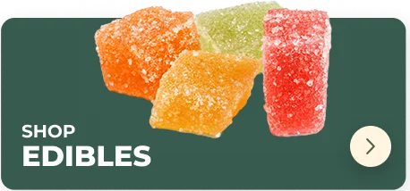 cannabis edibles