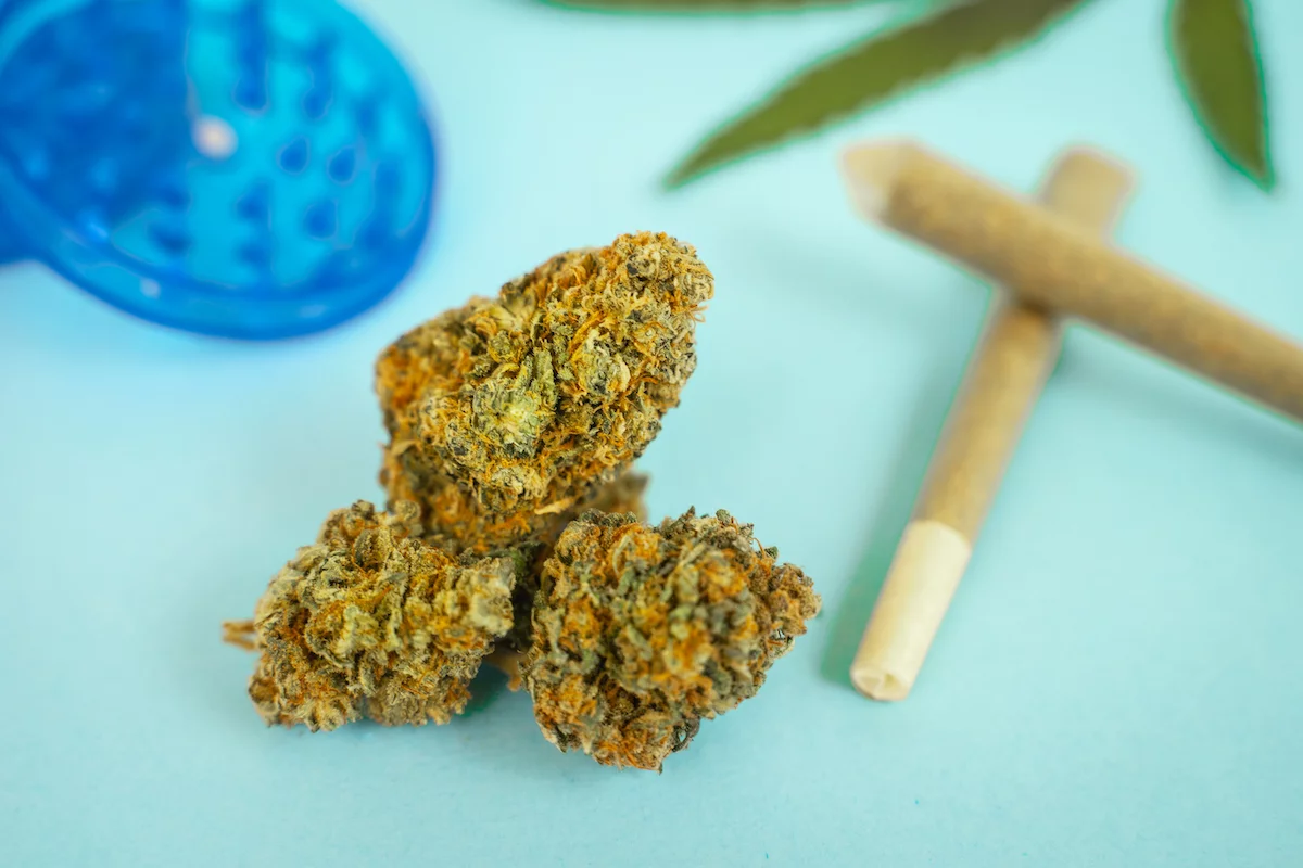 Exploring THC and CBD Ratios in Massachusetts: Moving Beyond Indica vs. Sativa