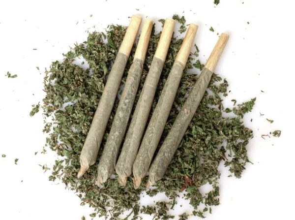 massachusetts cannabis pre-rolls