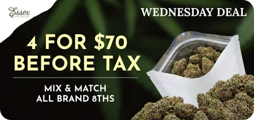Wednesday Mix And Match Homepage